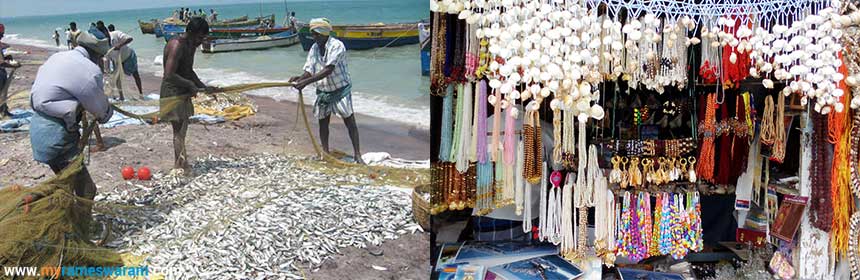 fishery man life in rameswaram
