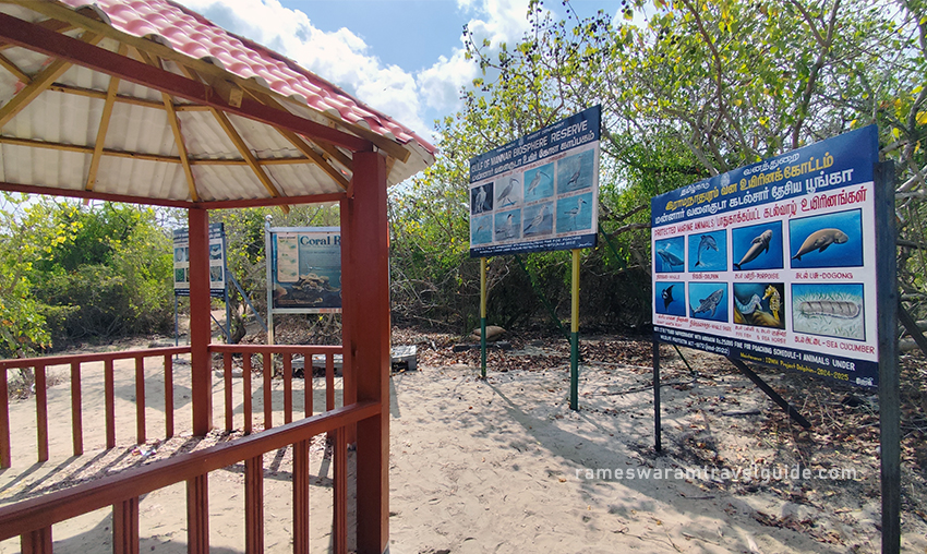 Kurusadai Island Eco Tourism Rameswaram